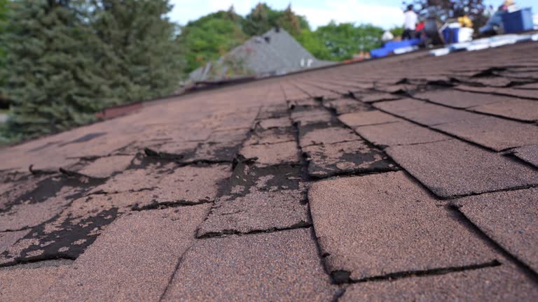 Roof Coating Services in Audubon, PA